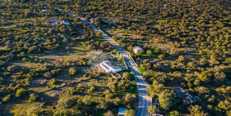 DJI_0351
