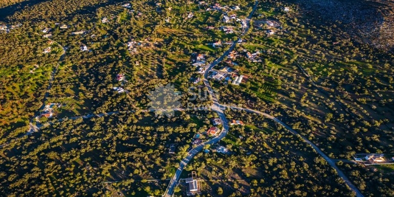 DJI_0366