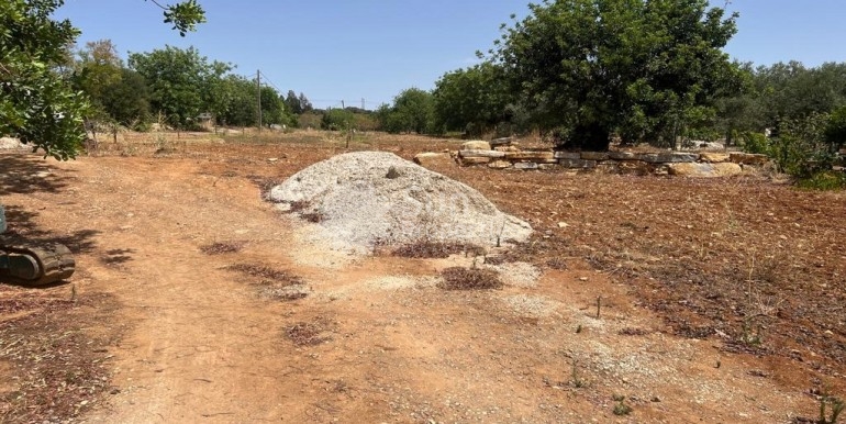 4267e879-a18a-4aff-82ba-f37c8c2f92cd