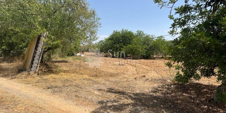 525fc009-4d23-484c-abb8-91f6205703dc