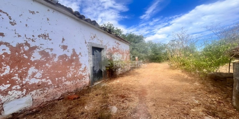 39f542c4-17a4-456b-b1df-1395b01fa56f